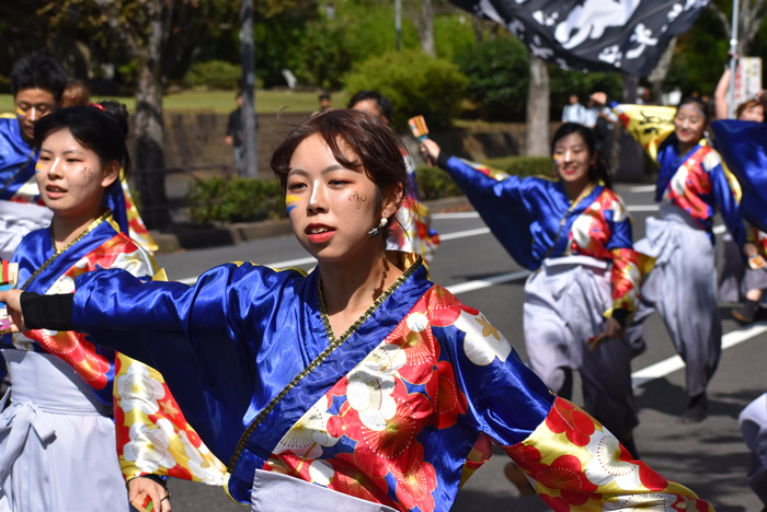 よさこい衣装・祭り衣装　　梅光学院大学よさこいダンス部LUCIS様 