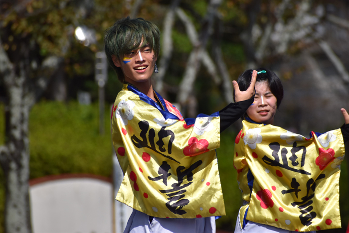 よさこい衣装・祭り衣装　　梅光学院大学よさこいダンス部LUCIS様 