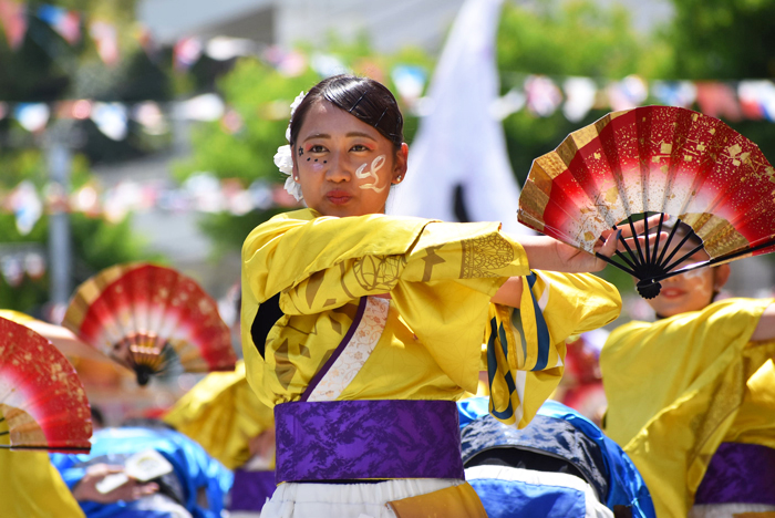 よさこい衣装・祭り衣装　　皇學館大学 ”雅” 様 