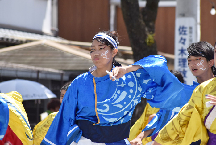 よさこい衣装・祭り衣装　　皇學館大学 ”雅” 様 