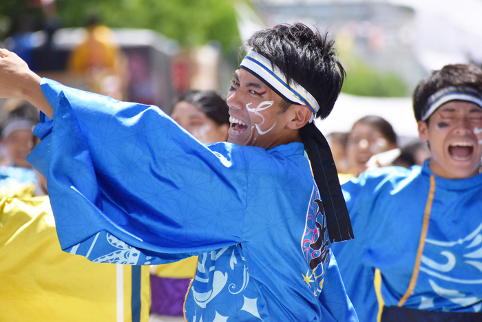 よさこい衣装・祭り衣装　　皇學館大学 ”雅” 様 