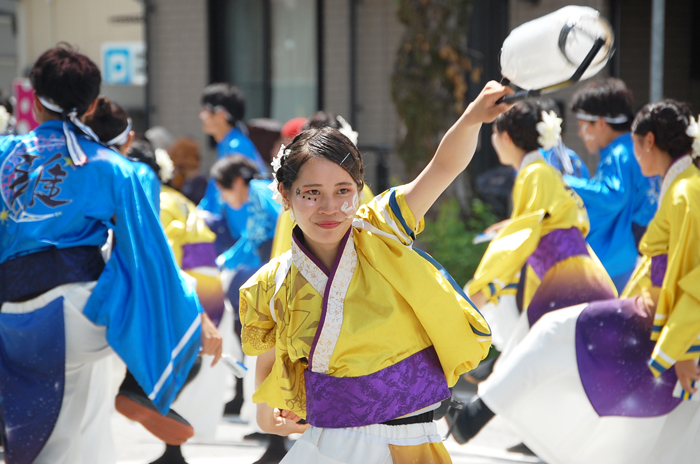 よさこい衣装・祭り衣装　　皇學館大学 ”雅” 様 