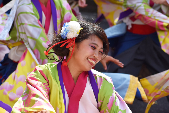 よさこい衣装・祭り衣装　　夢道源人様 