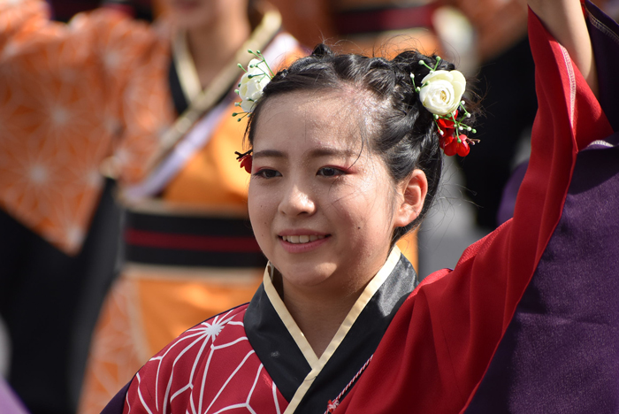 よさこい衣装・祭り衣装　　学生団体コンパスよさこいチーム叢雲様 