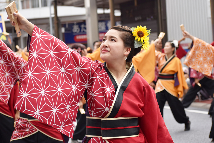 よさこい衣装・祭り衣装　　学生団体コンパスよさこいチーム叢雲様 