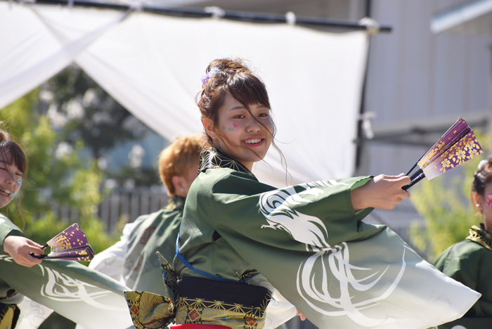 よさこい衣装・祭り衣装　　謳歌様 