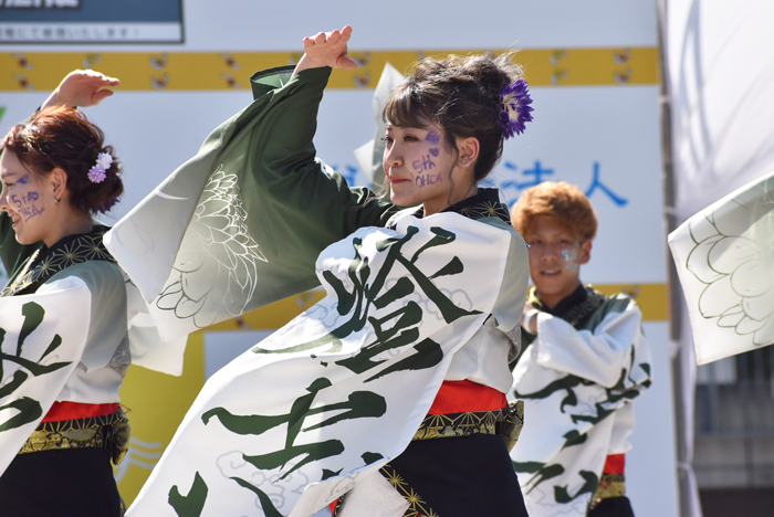 よさこい衣装・祭り衣装　　謳歌様 