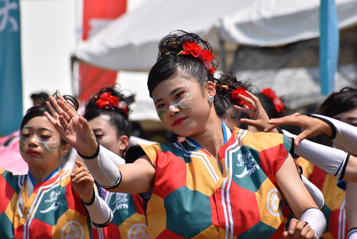 よさこい衣装・祭り衣装　　岡山うらじゃ連 蓮雫様 