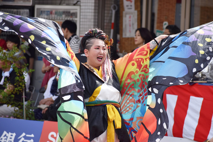 よさこい衣装・祭り衣装　　輪舞様 