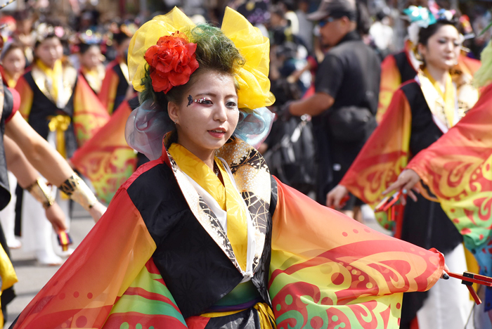 よさこい衣装・祭り衣装　　輪舞様 