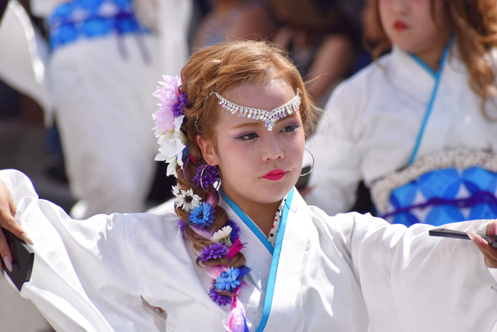 よさこい衣装・祭り衣装　　Rouce様 