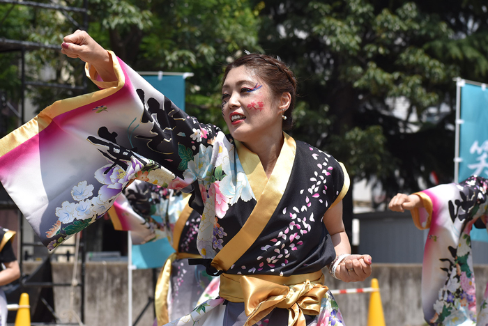 よさこい衣装・祭り衣装　　咲華様 