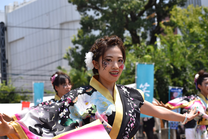 よさこい衣装・祭り衣装　　咲華様 