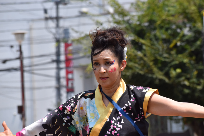 よさこい衣装・祭り衣装　　咲華様 