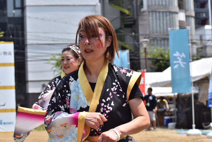 よさこい衣装・祭り衣装　　咲華様 