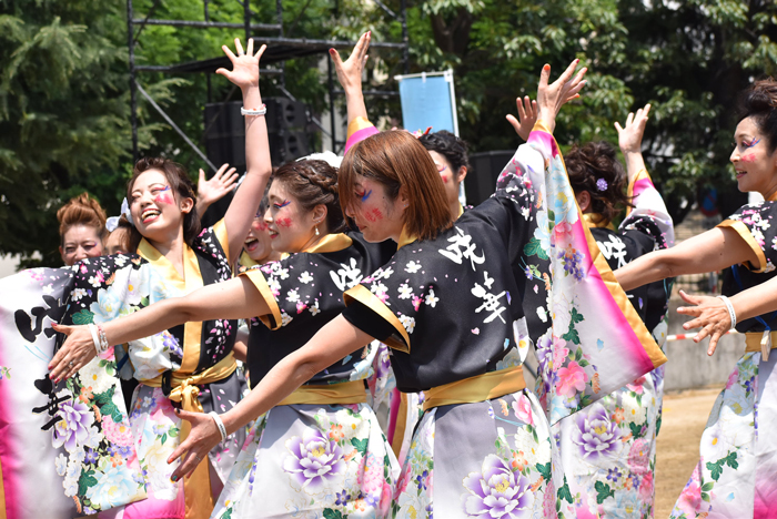 よさこい衣装・祭り衣装　　咲華様 