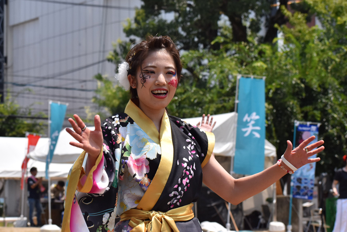 よさこい衣装・祭り衣装　　咲華様 