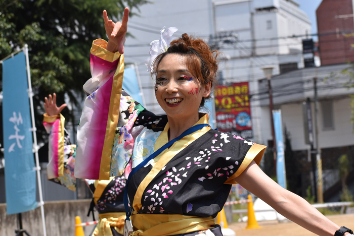 よさこい衣装・祭り衣装　　咲華様 