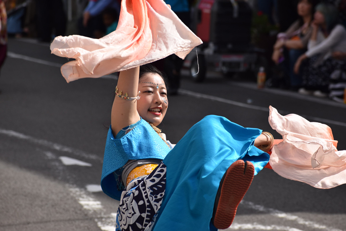 よさこい衣装・祭り衣装　　祭会様 