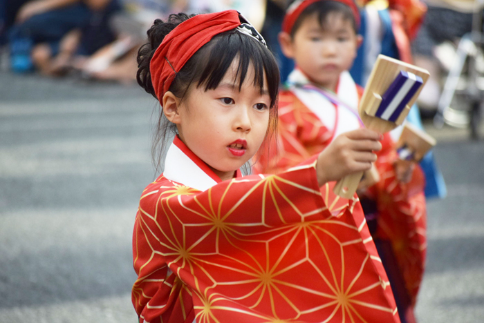 よさこい衣装・祭り衣装　　祭彩華様 