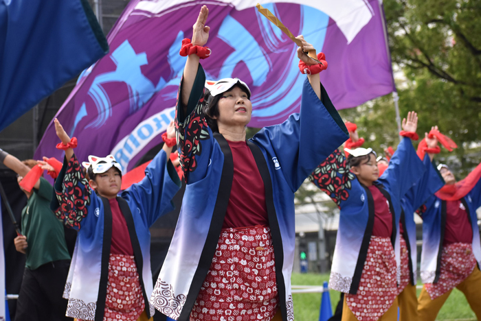 よさこい衣装・祭り衣装　　せんとれ～TOKONAME様 