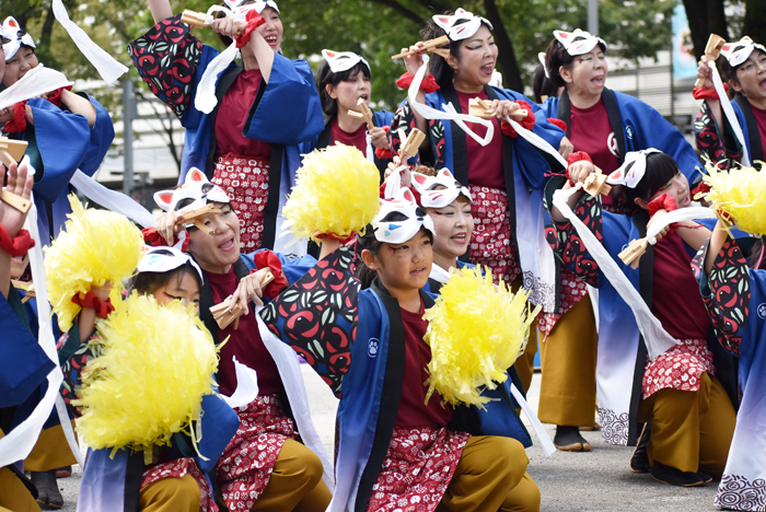 よさこい衣装・祭り衣装　　せんとれ～TOKONAME様 