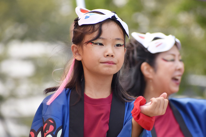 よさこい衣装・祭り衣装　　せんとれ～TOKONAME様 