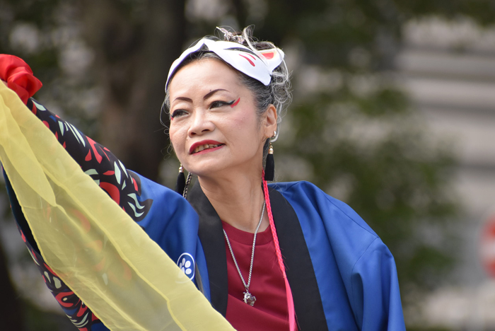 よさこい衣装・祭り衣装　　せんとれ～TOKONAME様 