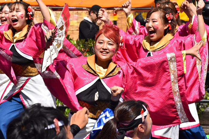 よさこい衣装・祭り衣装　　岡山うらじゃ連四季様 