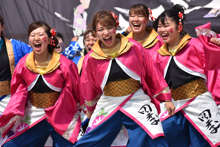 よさこい衣装・祭り衣装　　岡山うらじゃ連四季様 