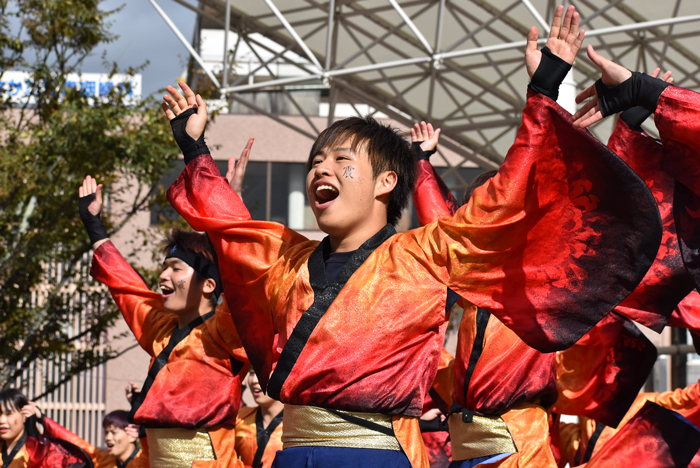 よさこい衣装・祭り衣装　　下関市立大学よさこいダンスサークル震様 