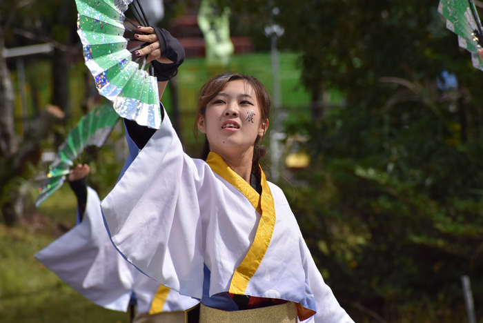 よさこい衣装・祭り衣装　　下関市立大学よさこいダンスサークル震様 