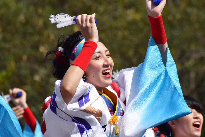 よさこい衣装・祭り衣装　　新羅様 