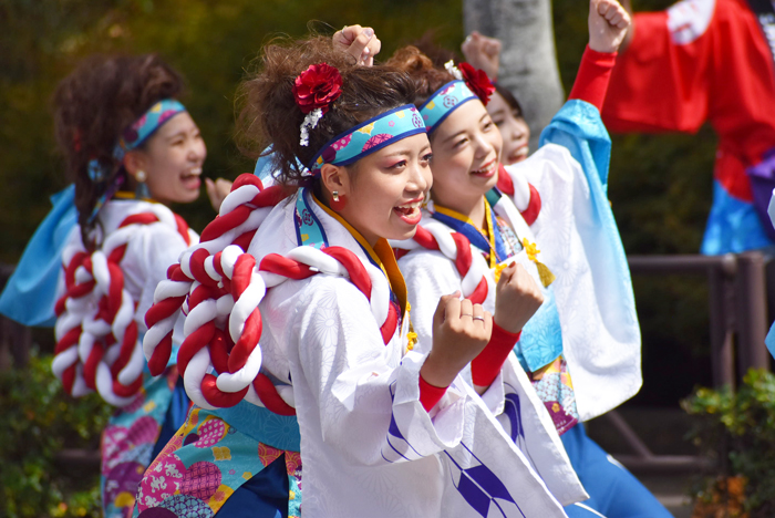 よさこい衣装・祭り衣装　　新羅様 