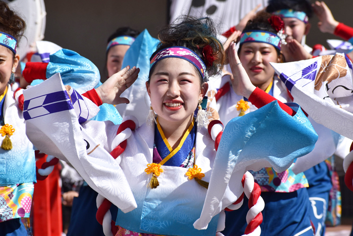 よさこい衣装・祭り衣装　　新羅様 