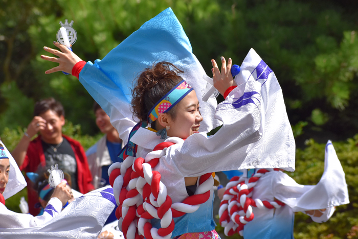 よさこい衣装・祭り衣装　　新羅様 