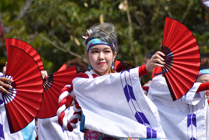 よさこい衣装・祭り衣装　　新羅様 