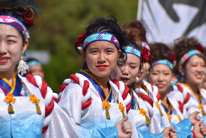 よさこい衣装・祭り衣装　　新羅様 