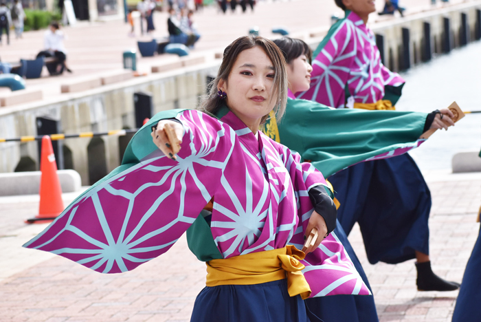 よさこい衣装・祭り衣装　　久留米大学颯華様 