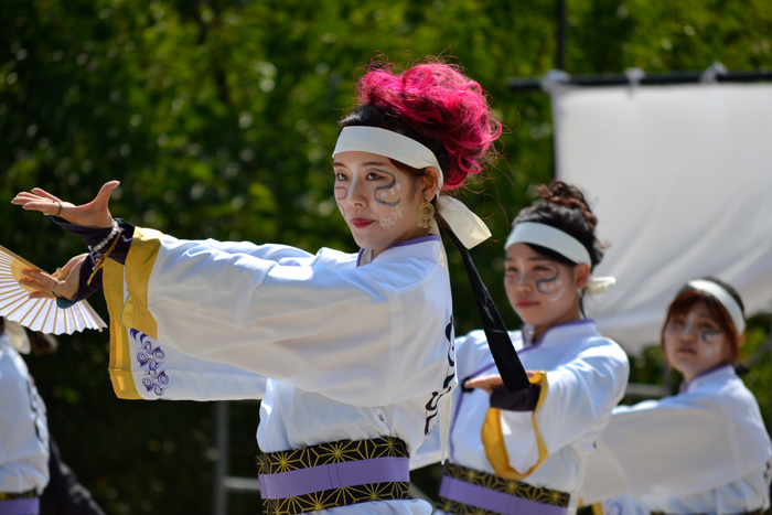 よさこい衣装・祭り衣装　　翠嵐様 