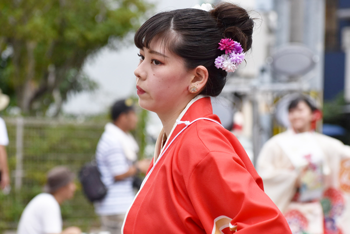 よさこい衣装・祭り衣装　　T-style様 