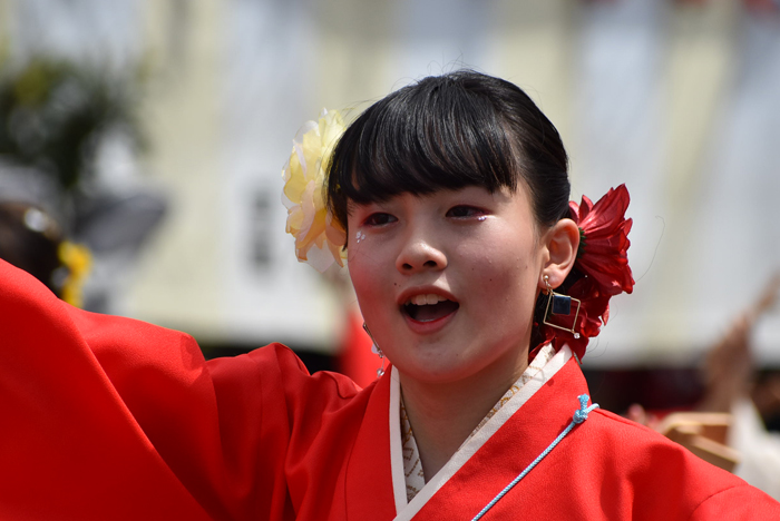 よさこい衣装・祭り衣装　　T-style様 