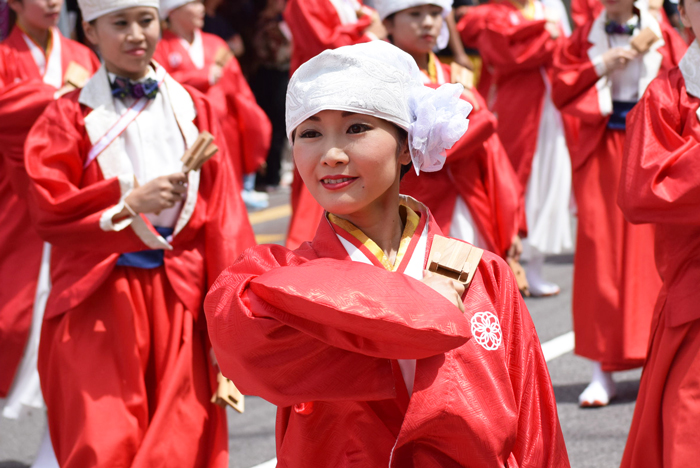 よさこい衣装・祭り衣装　　TACYON様 