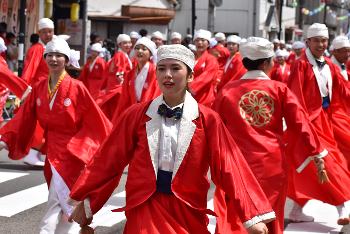 よさこい衣装・祭り衣装　　TACYON様 