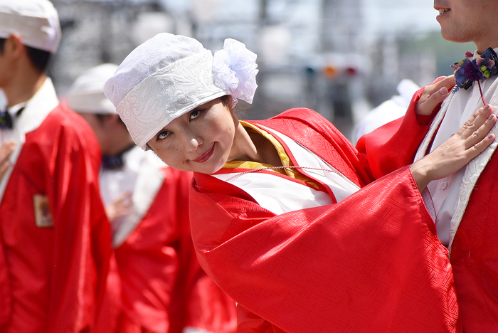 よさこい衣装・祭り衣装　　TACYON様 