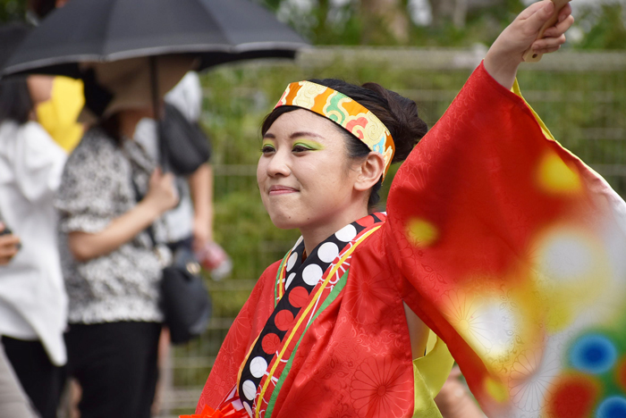 よさこい衣装・祭り衣装　　高松よさこい連様 