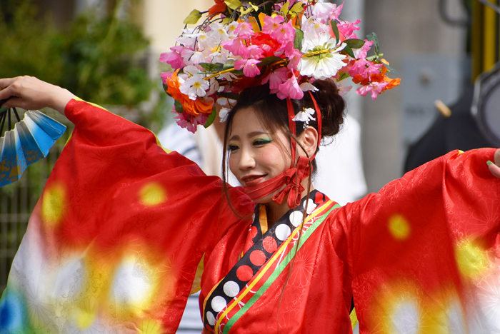 よさこい衣装・祭り衣装　　高松よさこい連様 