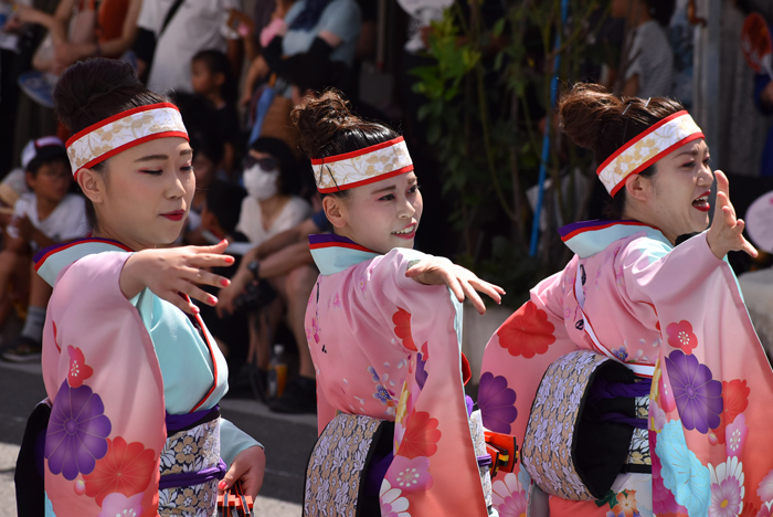 よさこい衣装・祭り衣装　　俵屋グループ様 