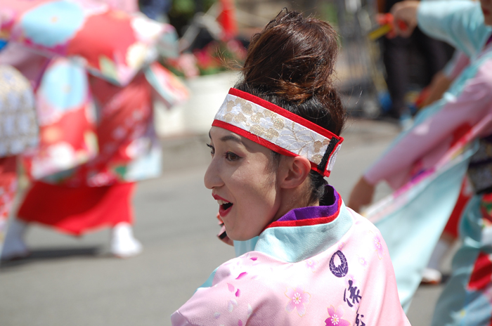 よさこい衣装・祭り衣装　　俵屋グループ様 