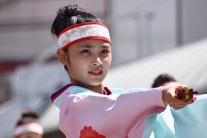 よさこい衣装・祭り衣装　　俵屋グループ様 